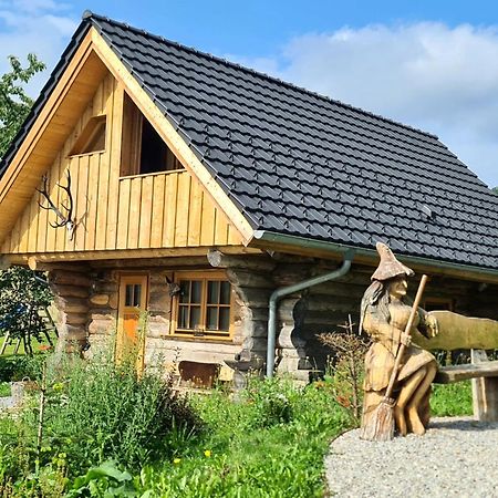 Blockhaus Panhuette Villa Braunlage Eksteriør bilde