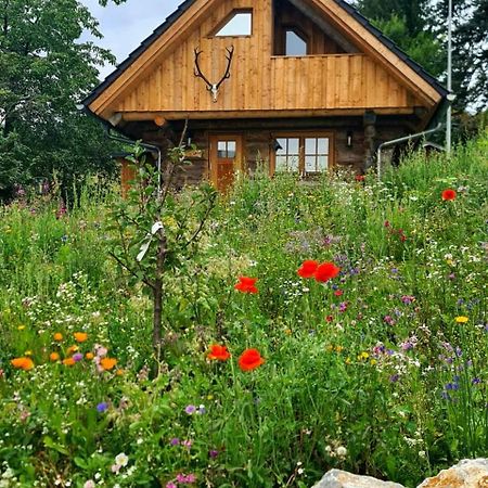 Blockhaus Panhuette Villa Braunlage Eksteriør bilde