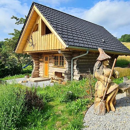 Blockhaus Panhuette Villa Braunlage Eksteriør bilde