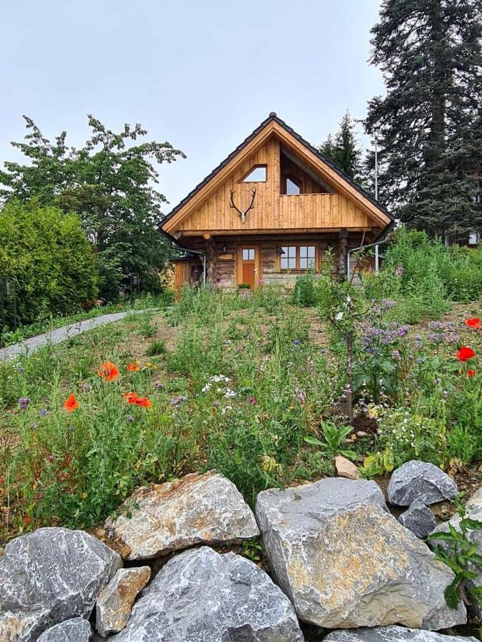 Blockhaus Panhuette Villa Braunlage Eksteriør bilde